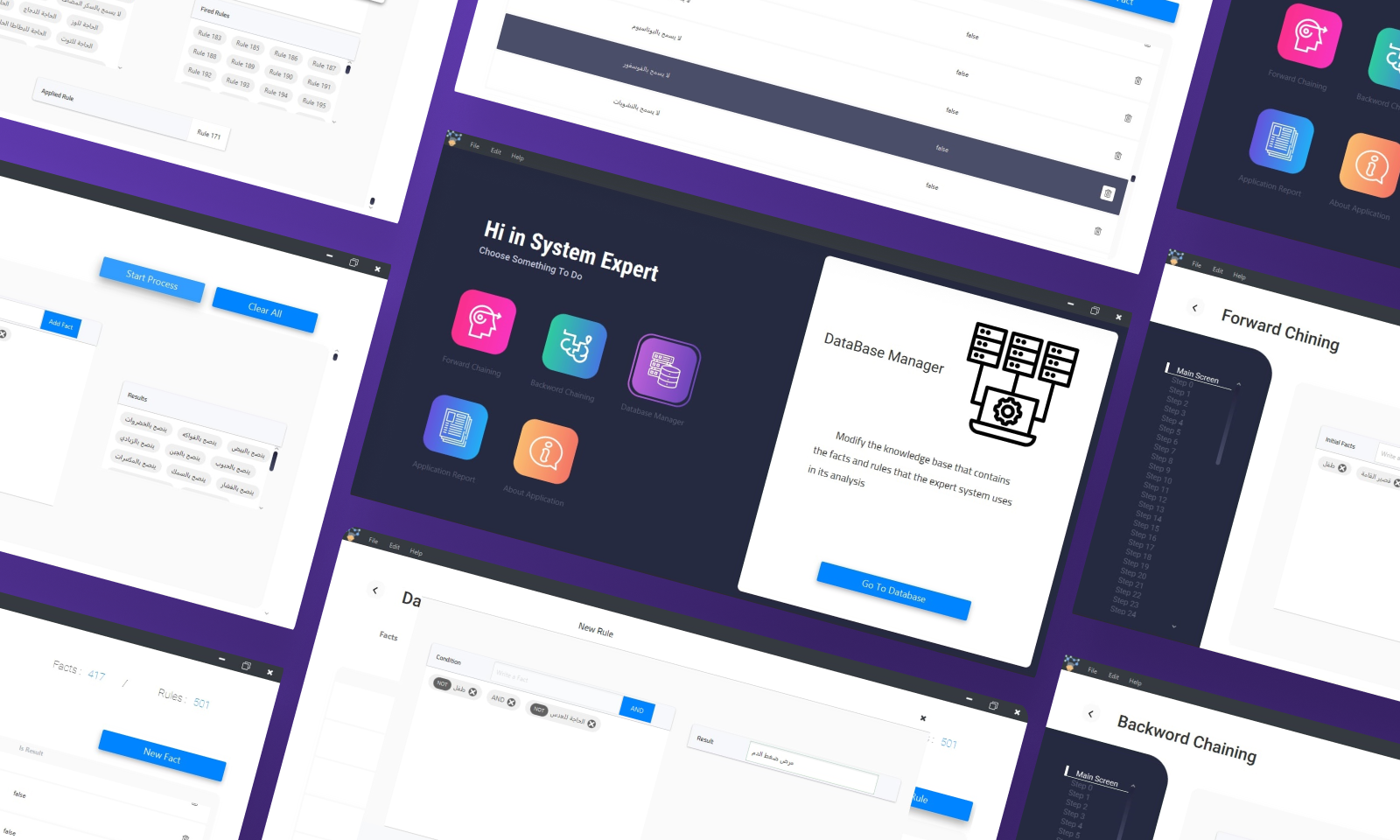 Systems Experts Manager